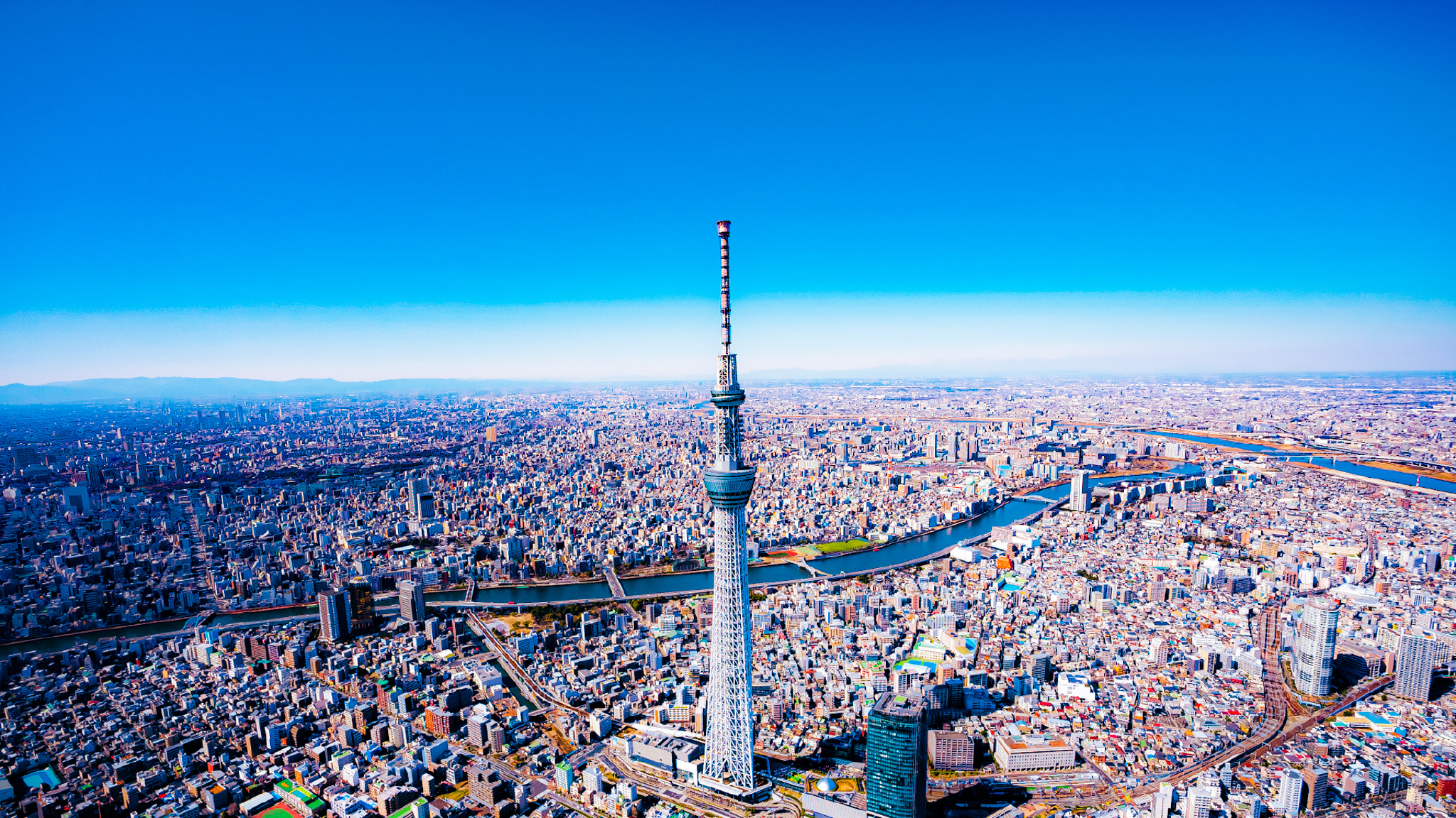 東京