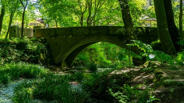 池山水源の風景１