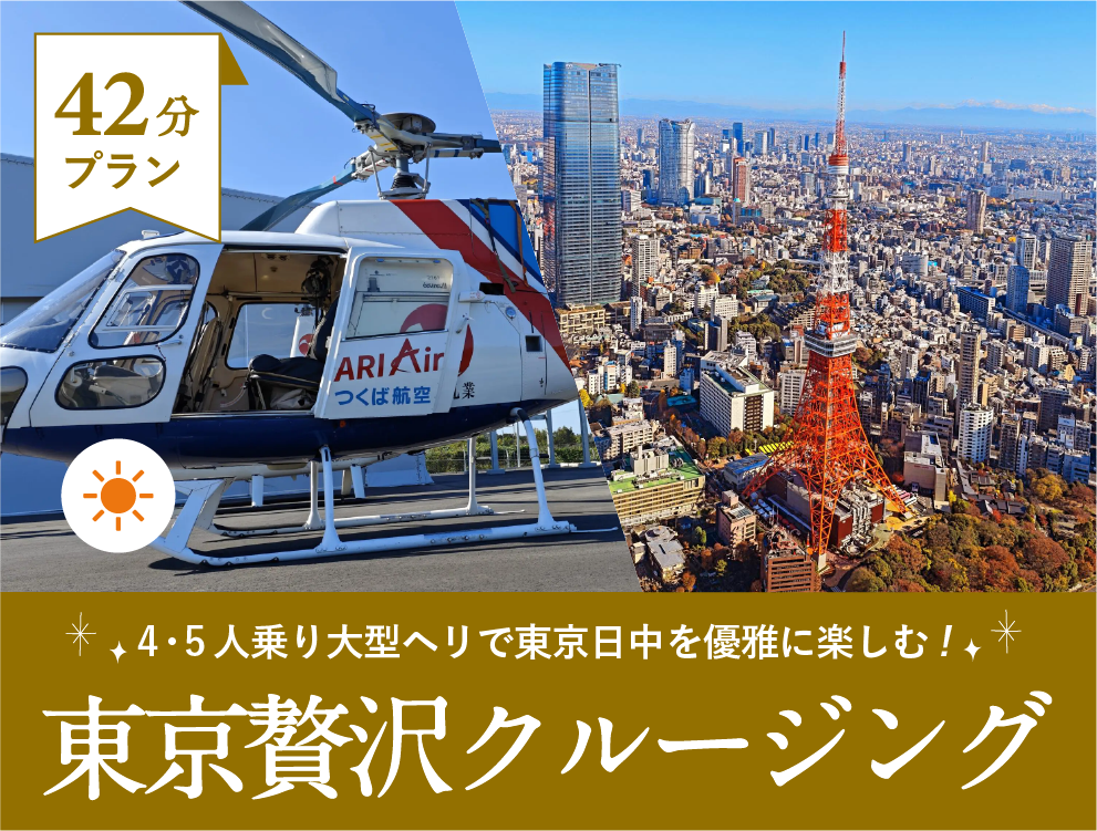 4・5人乗り 大きめヘリコプターで 】東京 日中クルージングをゆったりフライト【直前予約OK！】 ヘリコプタークルージング・ヘリ タクシー日本最大級|検索サイト｜ARIAIR（アリエア））