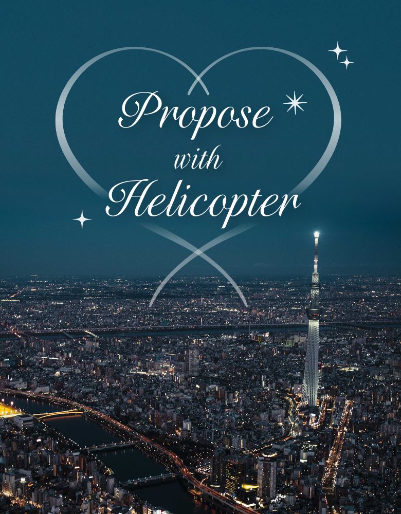 Helicopter Proposal・Tokyo Night View Plan
