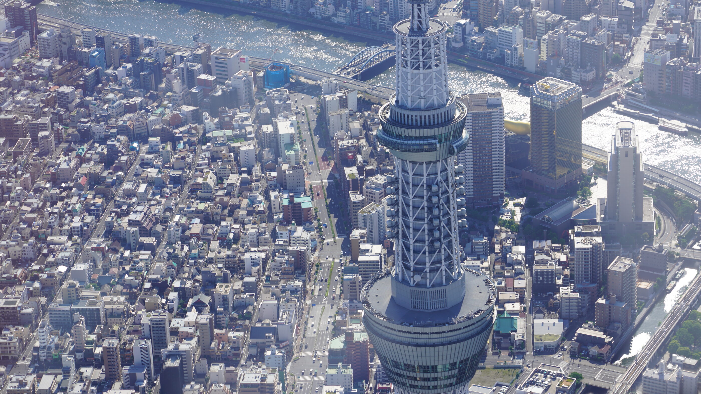 東京