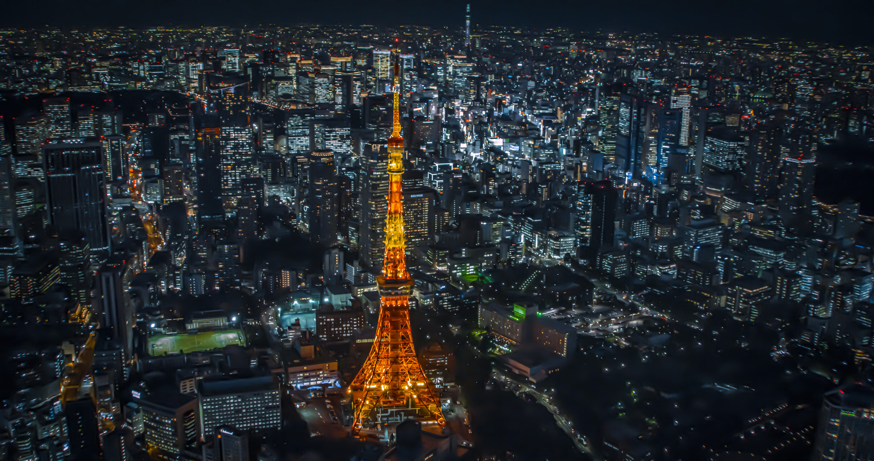 東京の空をヘリで存分に楽しめる！