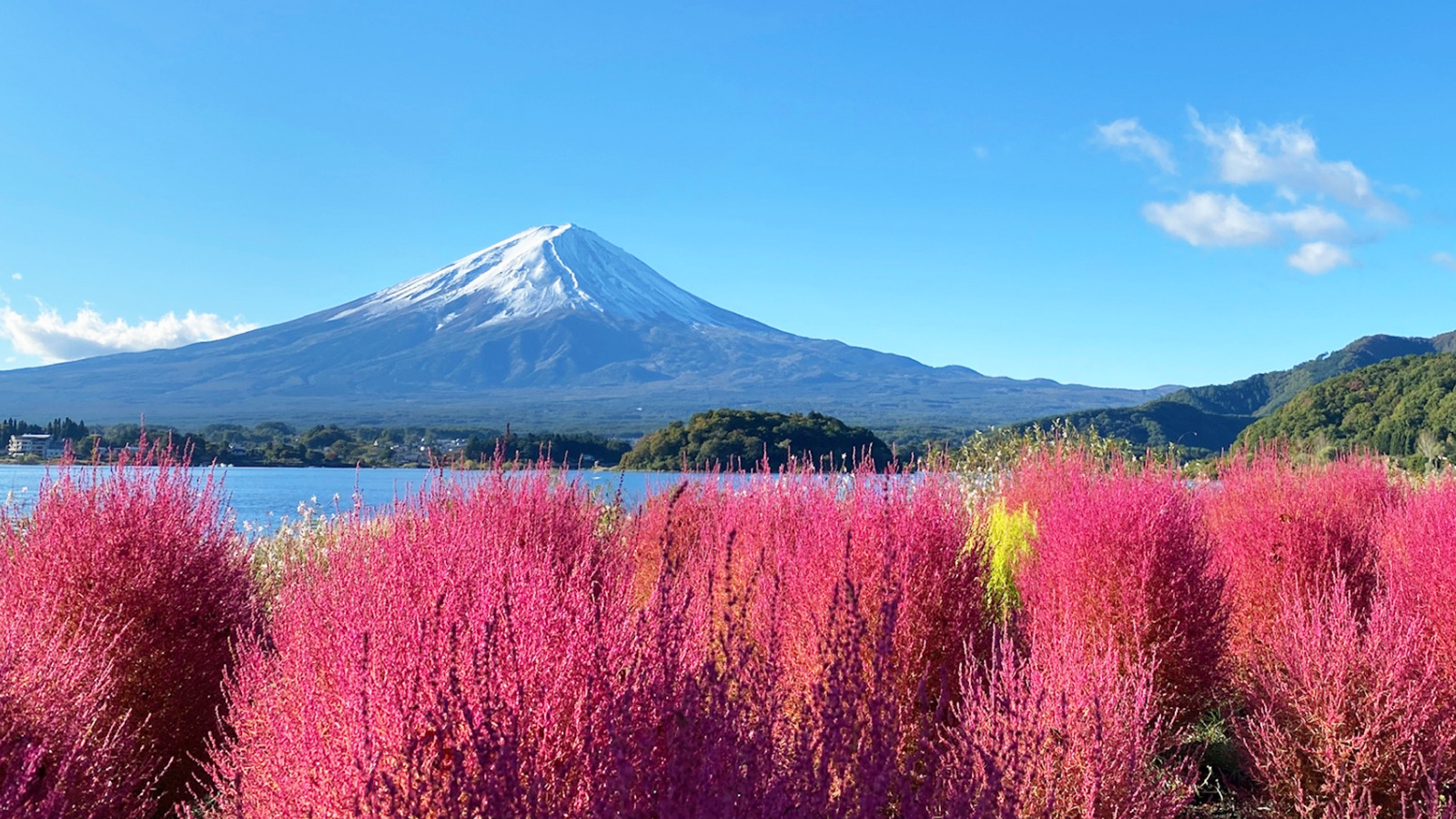 富士山