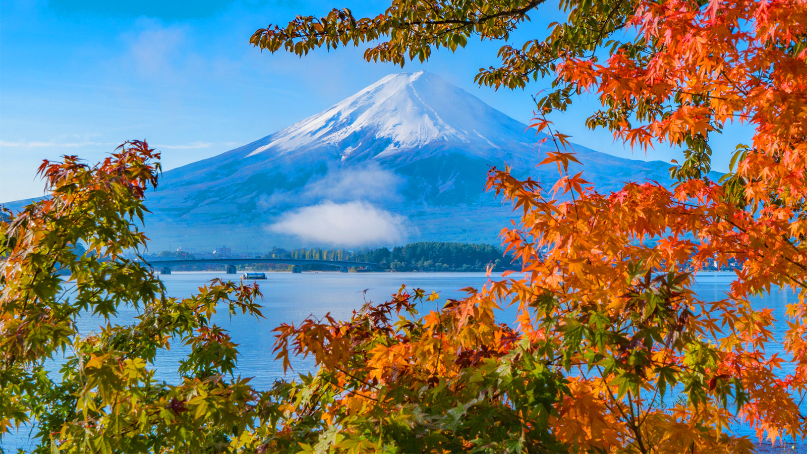 富士山