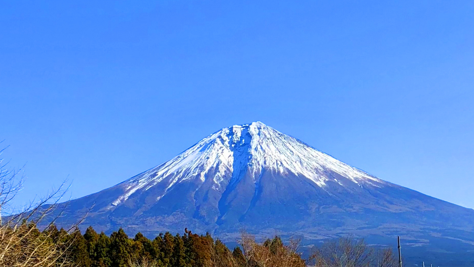 富士山